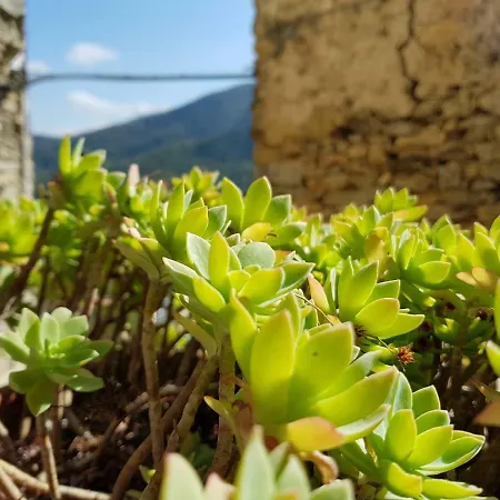 Agriturismo Sciu Pepin *