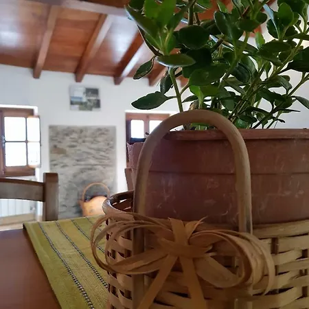 Agriturismo Sciu Pepin Farm stay