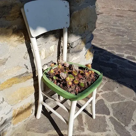 Agriturismo Sciu Pepin Farm stay